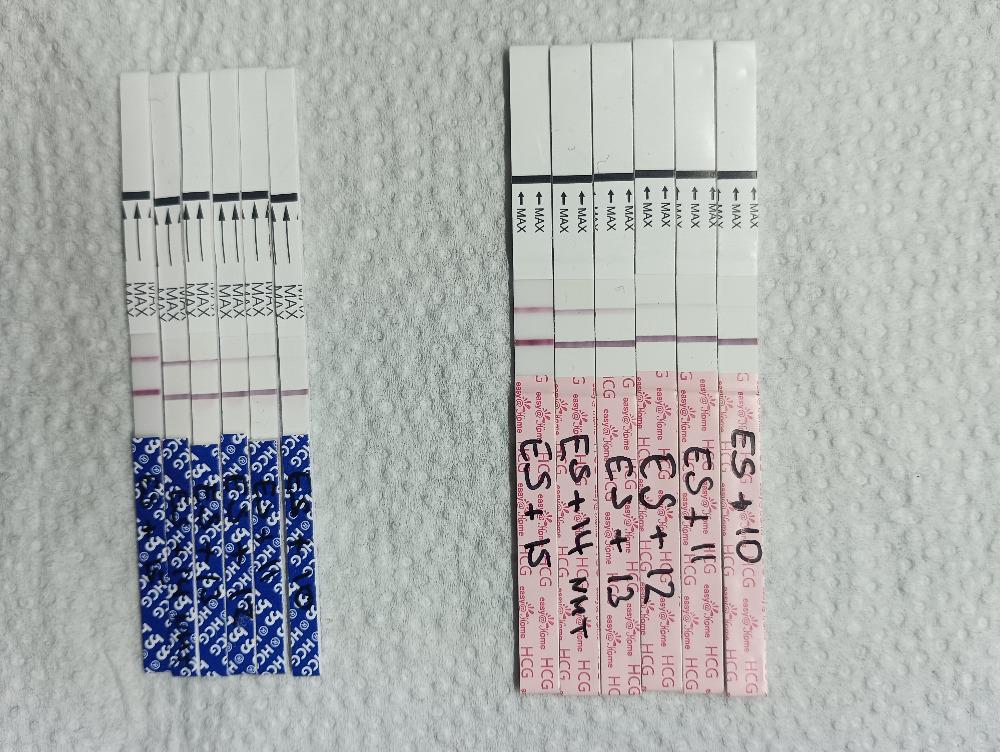 Easy Home Testreihe Forum Ovulations Und Schwangerschaftstests