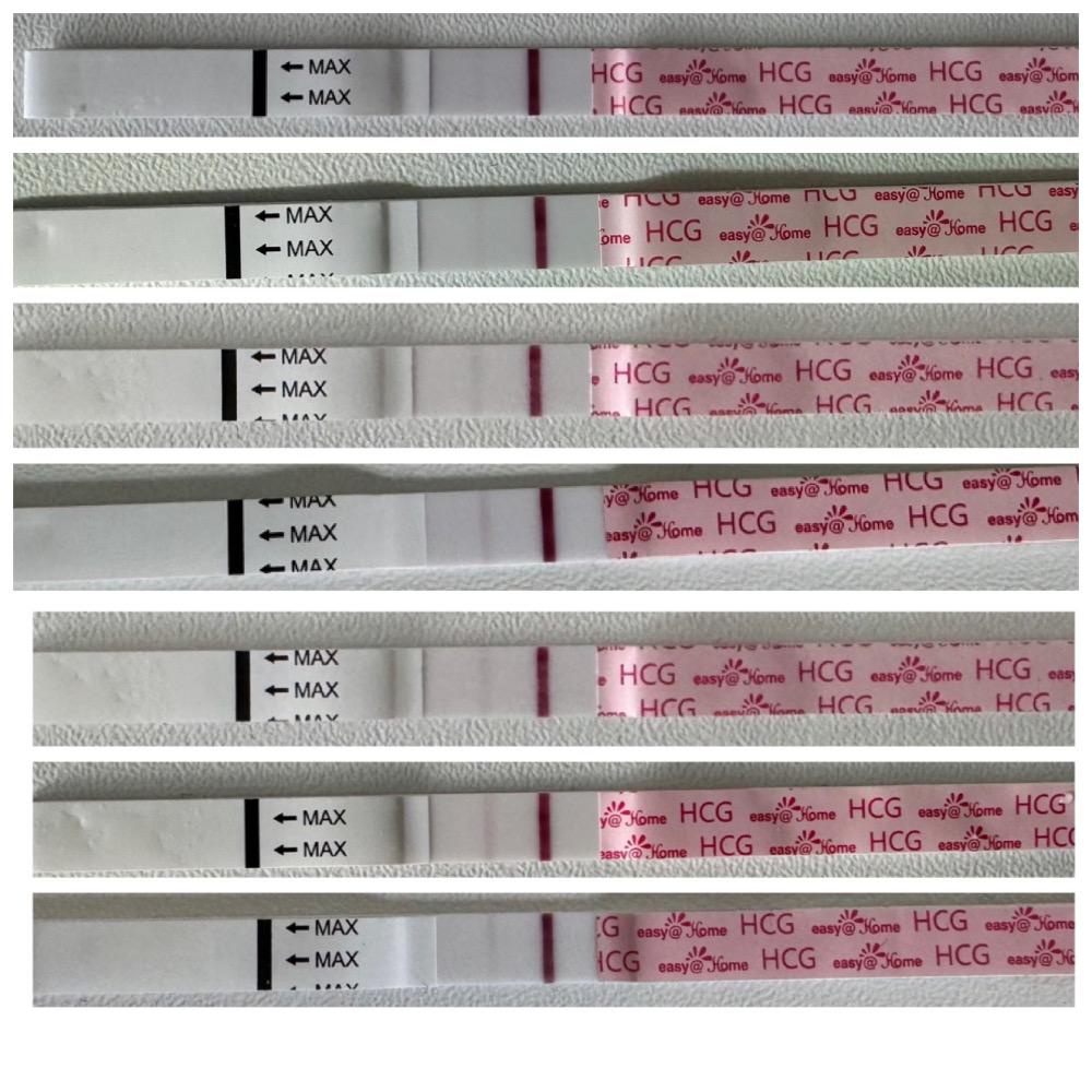 Linien Zu Schwach Im Schwangerschaftstest Nach Ivf Urbia De