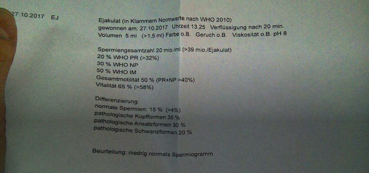 forum schwanger werden