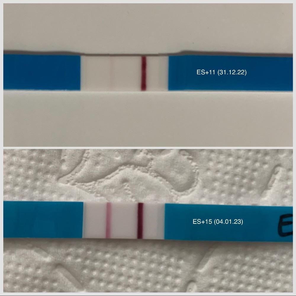 Schwache Linie an ES+14 | Forum Ovulations- und Schwangerschaftstests -  urbia.de